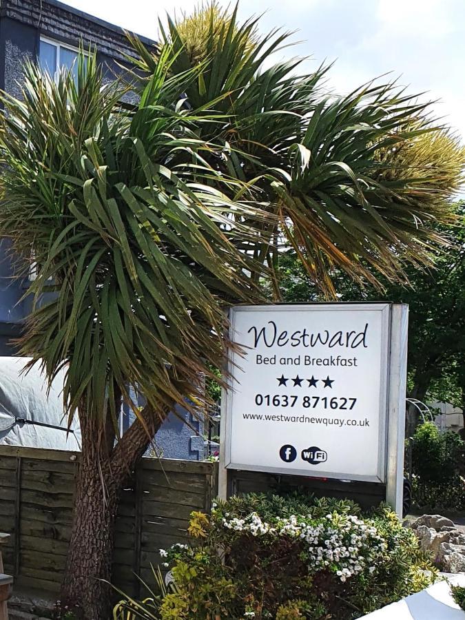 Westward B&B New Quay Exterior foto